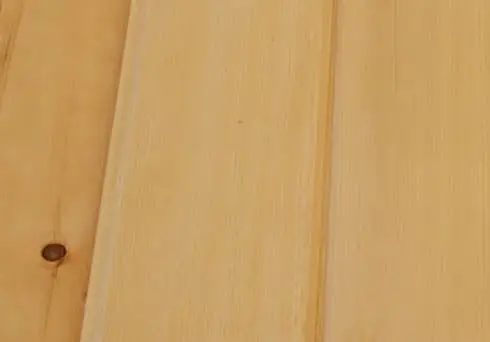 White pine texture